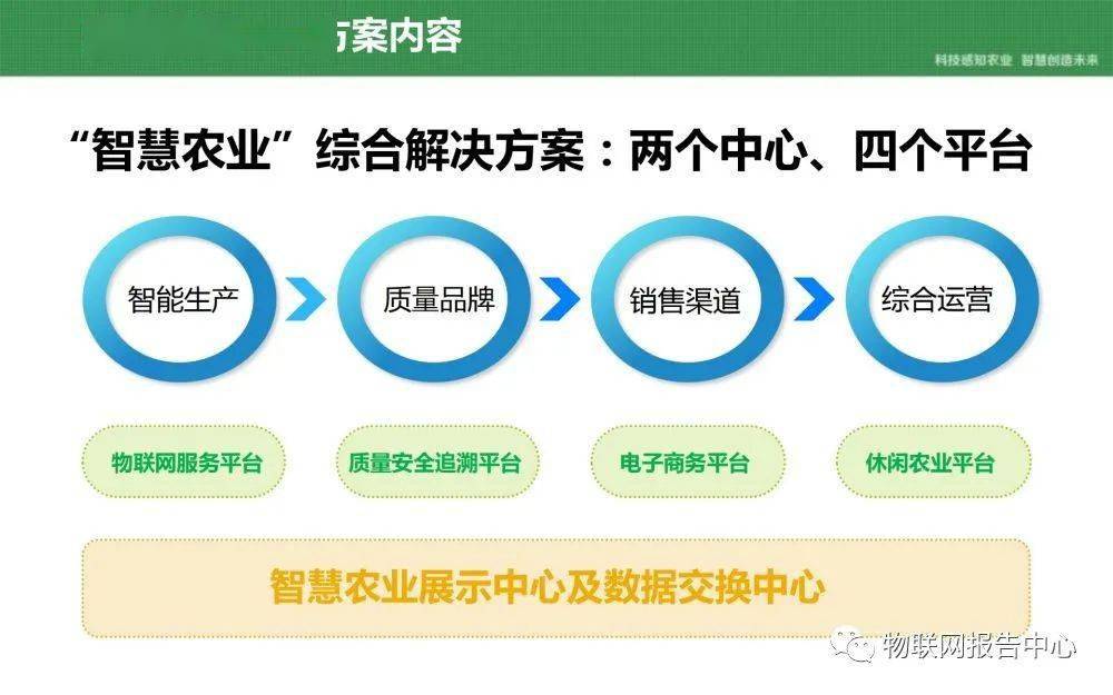 全民2025年澳门特马网站www,全面解答、解释与落实